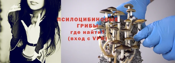 ГАЛЛЮЦИНОГЕННЫЕ ГРИБЫ Алексин