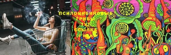 ГАЛЛЮЦИНОГЕННЫЕ ГРИБЫ Алексин