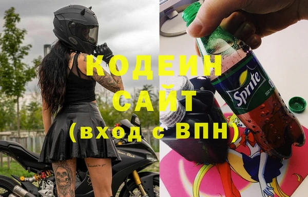 дживик Абаза