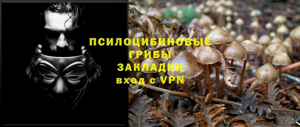 трава Алексеевка