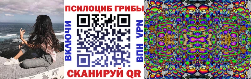 Галлюциногенные грибы Psilocybe  Пошехонье 